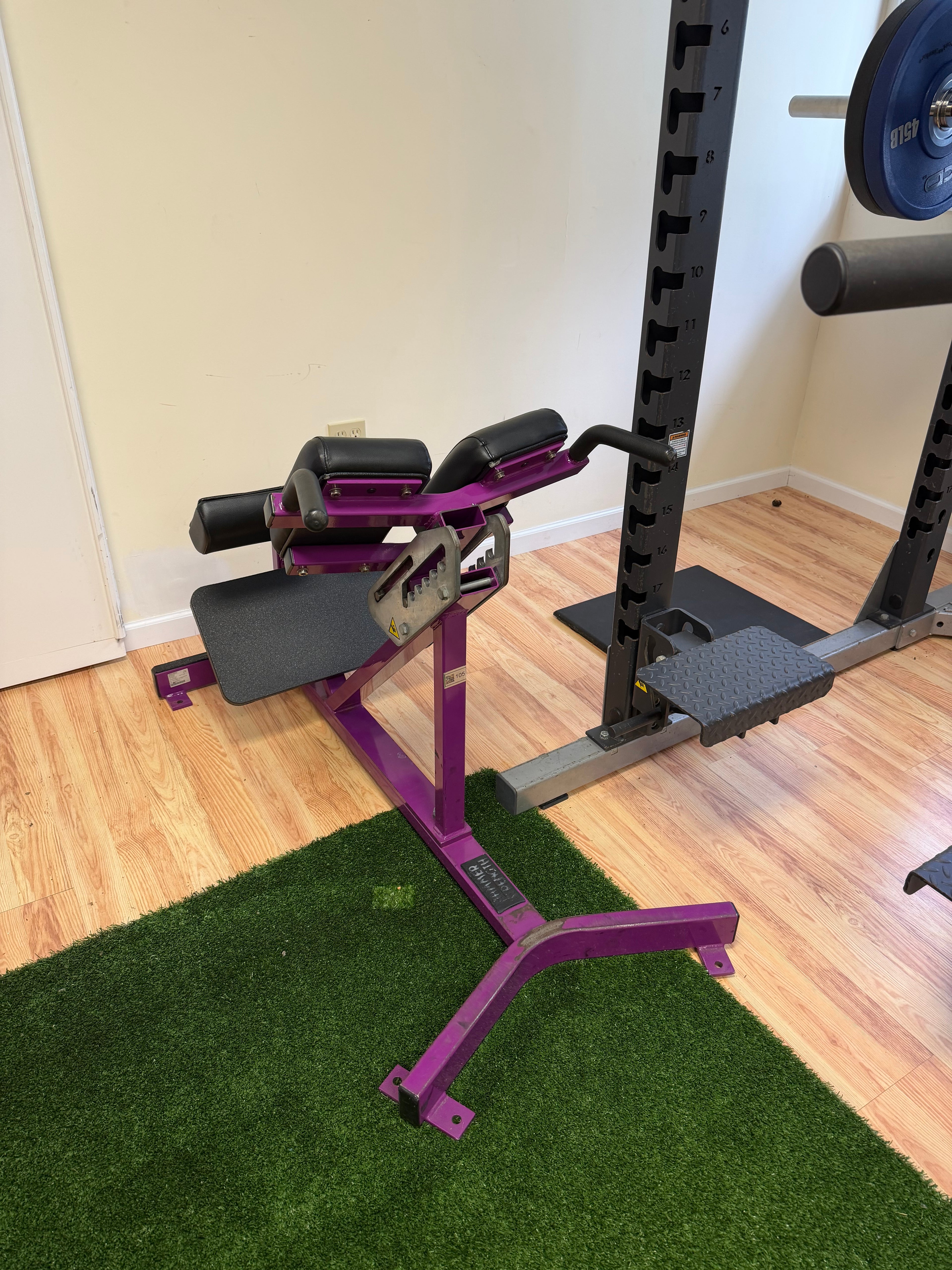 Hammer Strength from Life Fitness Hyperextension