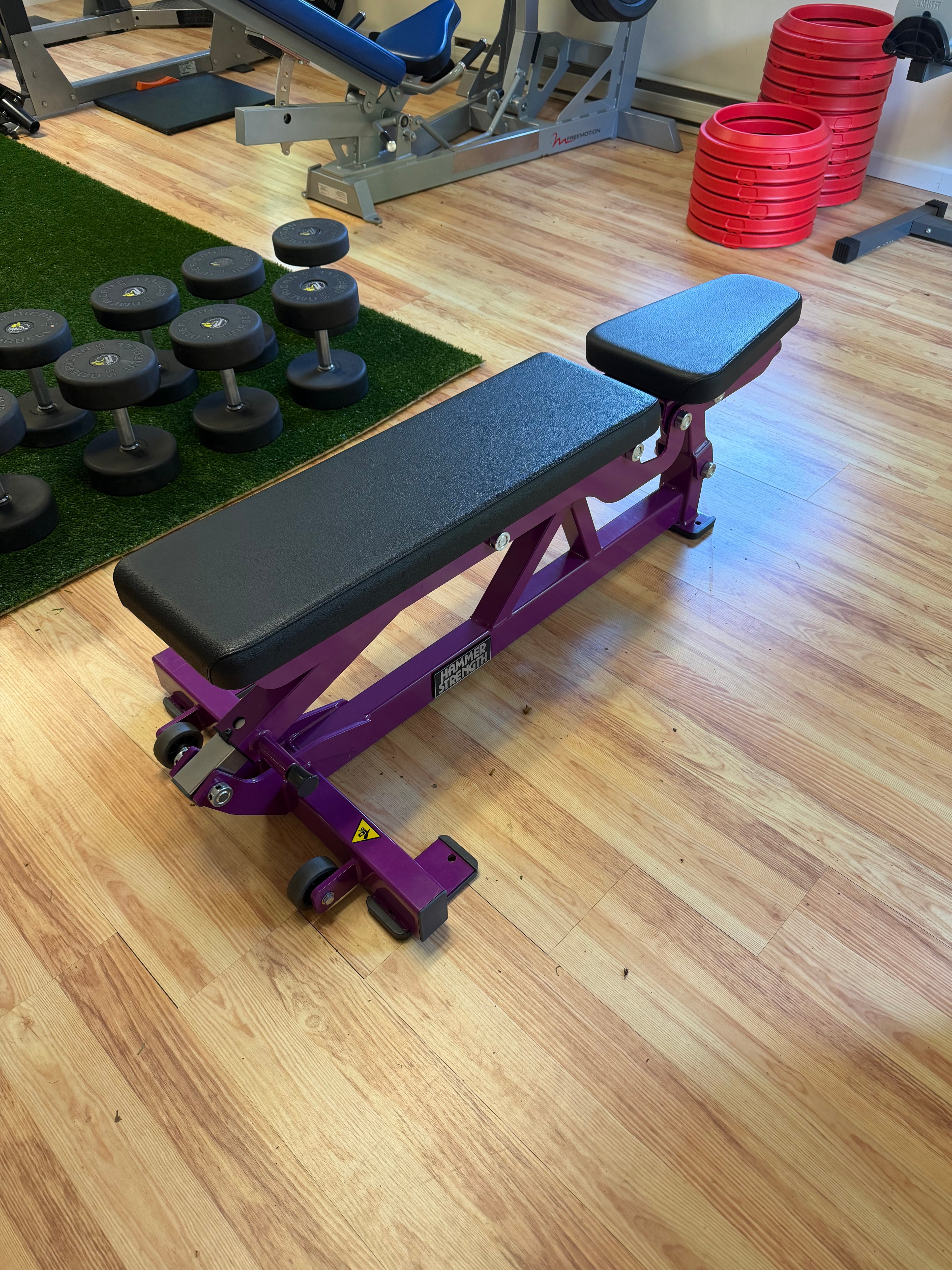 Hammer Strength / Life Fitness Adjustable Dumbbell Bench