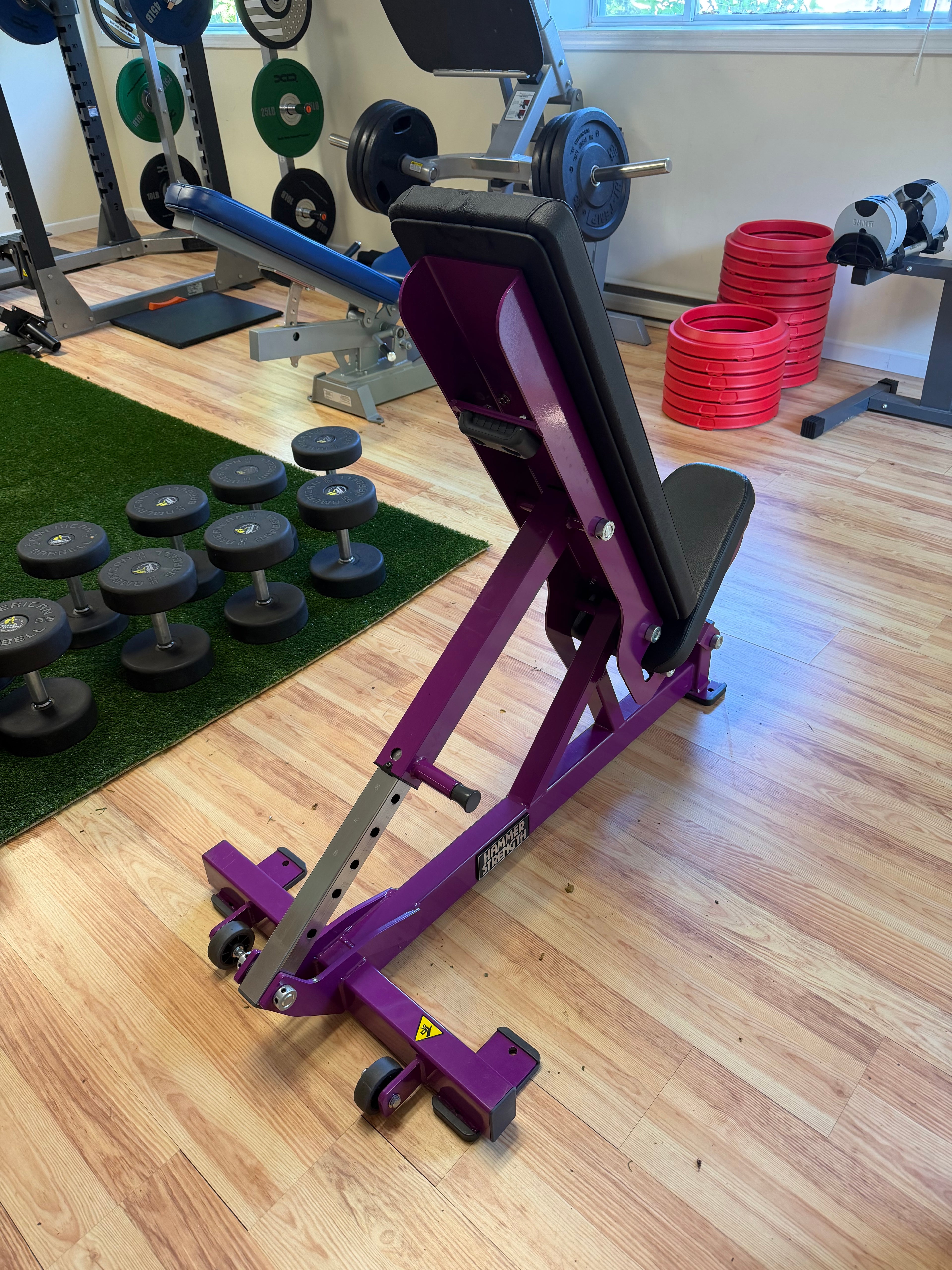 Hammer Strength / Life Fitness Adjustable Dumbbell Bench