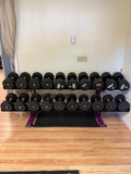 American Barbell Urethane Dumbbell Set 7.5–95 lbs with 2-Tier Rack